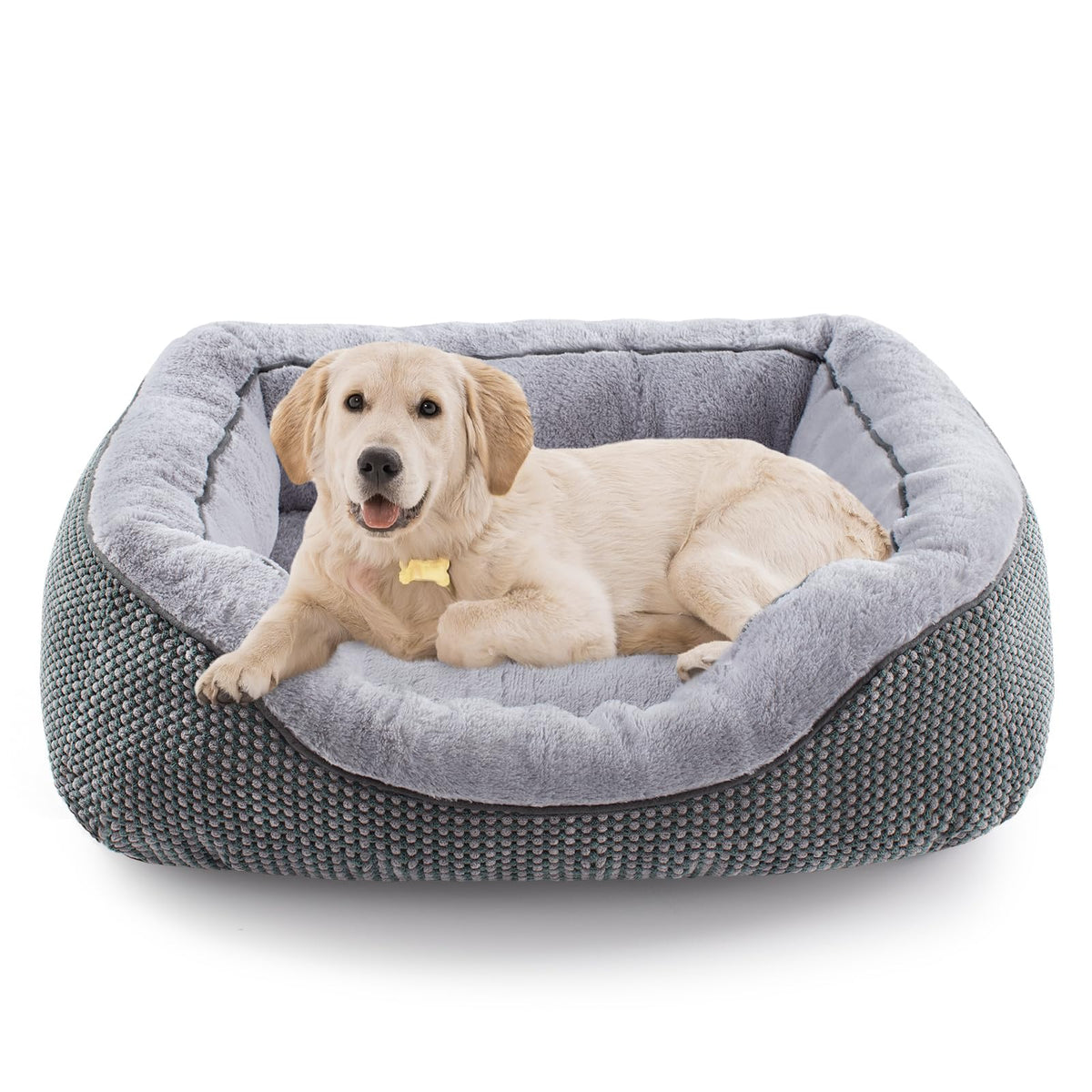 Dog Beds