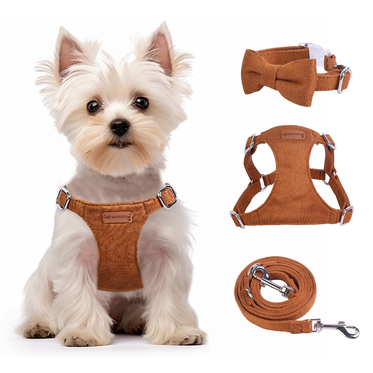 Collars, Harness And Leashes