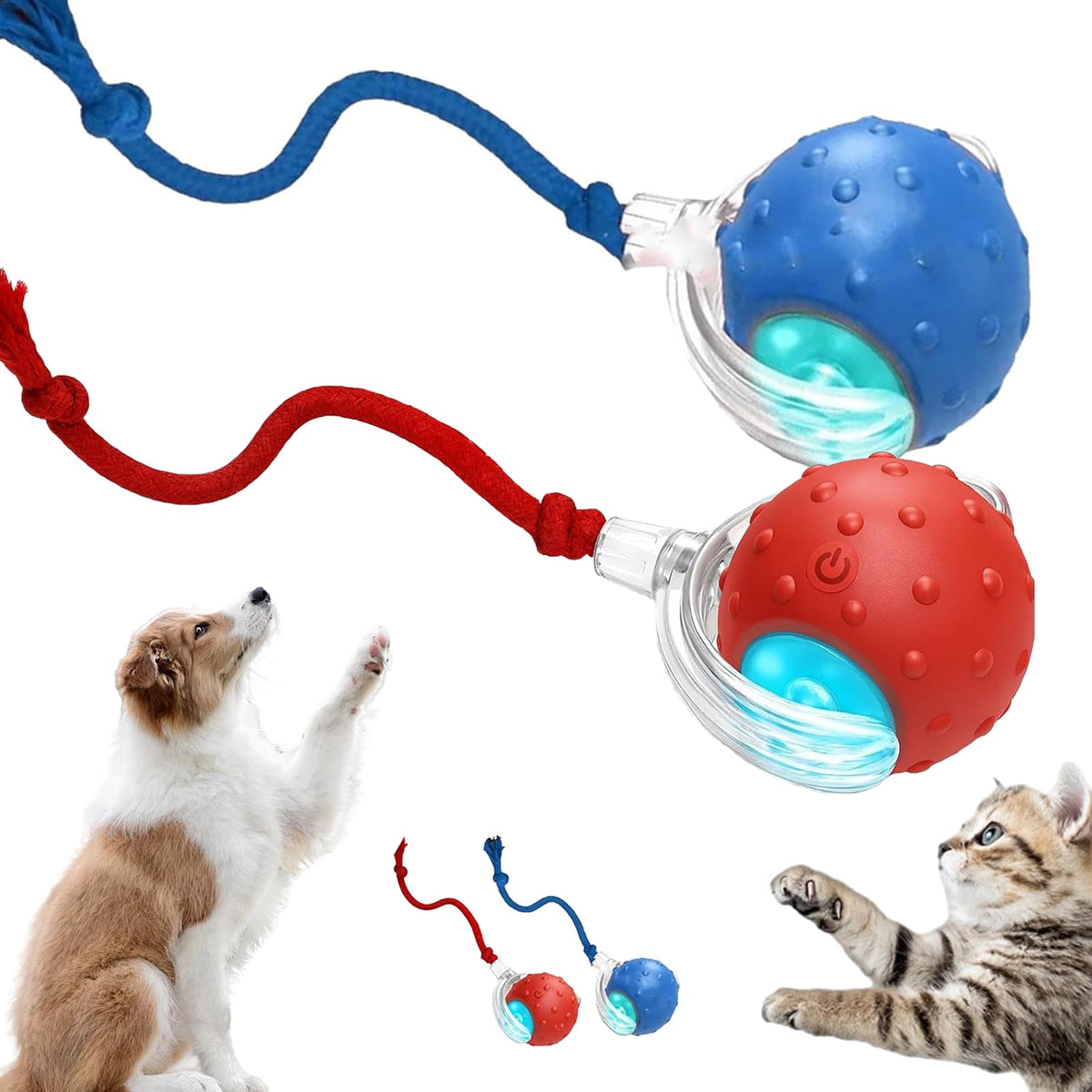 Dog And Cat Toys