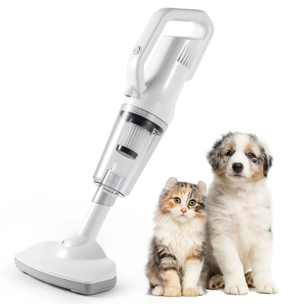 Pet Cleaning Supplies